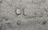 Песок из отсева дробления гранитный (Карельский) М1400 фр. 0*5 (Гремячево)